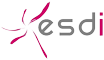 Groupe ESDI, spécialiste du recrutement dans les métiers de l'informatique et du digital. Entreprise de services numériques ESN.